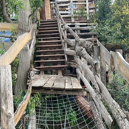 Lodge Eva's Tree House By Elaisa *