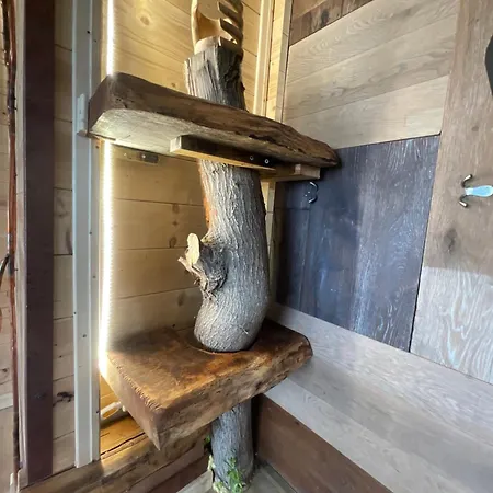 Eva's Tree House By Elaisa Cornacchiano