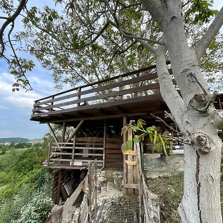 Lodge Eva's Tree House By Elaisa