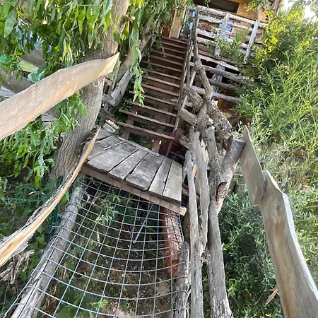 Eva's Tree House By Elaisa Lodge Cornacchiano