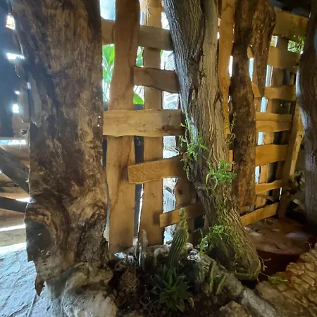 Eva's Tree House By Elaisa Lodge *