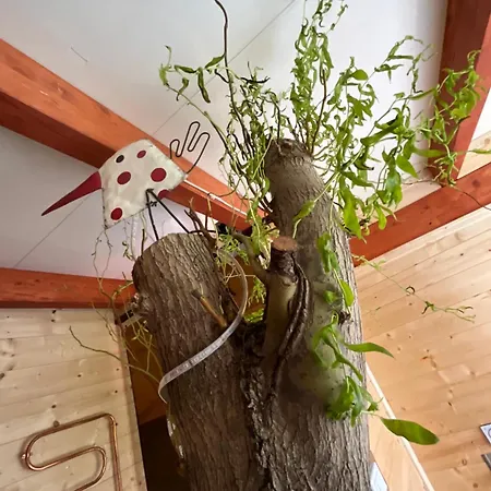Eva's Tree House By Elaisa * Cornacchiano