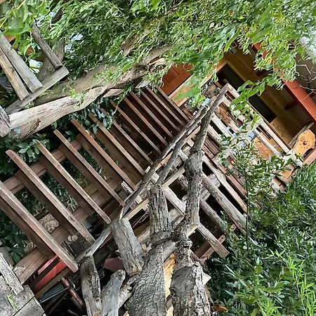 Eva's Tree House By Elaisa